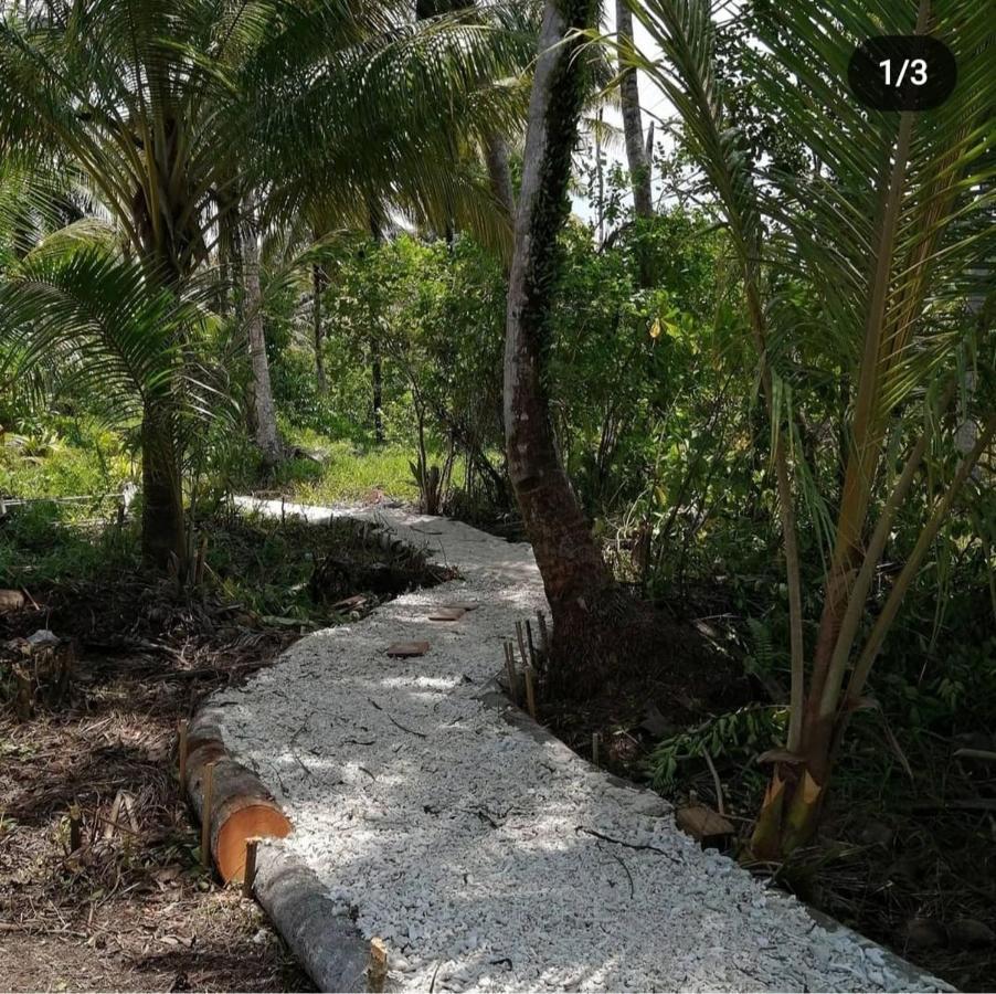 Palambak Paradise Resort Pulau Banyak Pulau Palambakbesar Dış mekan fotoğraf